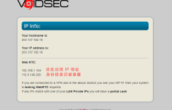 voidsec